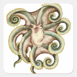 Adesivo Quadrado Octopus Greenish