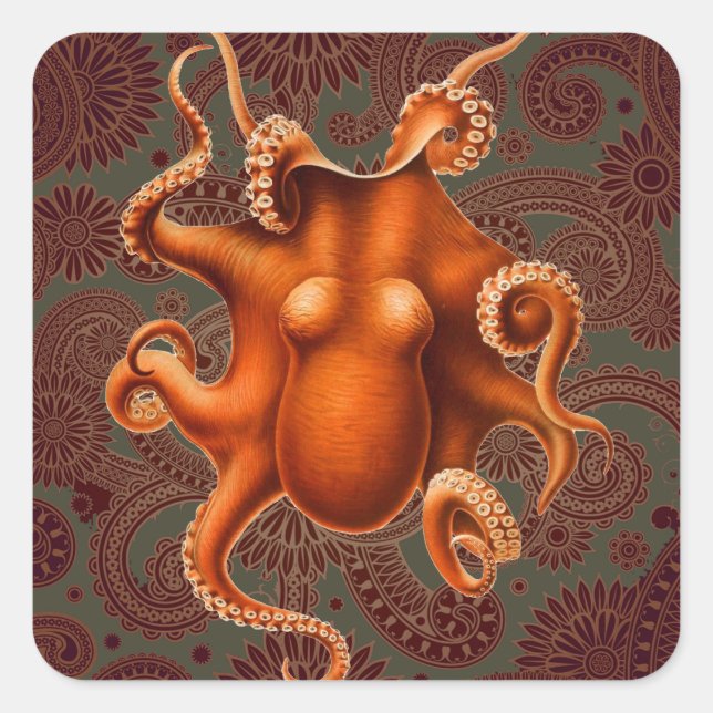Adesivo Quadrado Octopus Sea Monster Cephalapod Vintage (Frente)