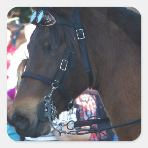 Adesivo Quadrado Óculos de visto do Cavalo Árabe Castanho Escuro