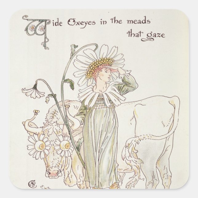 Adesivo Quadrado Óculos Selvagens em Raios que Gazam" (Frente)