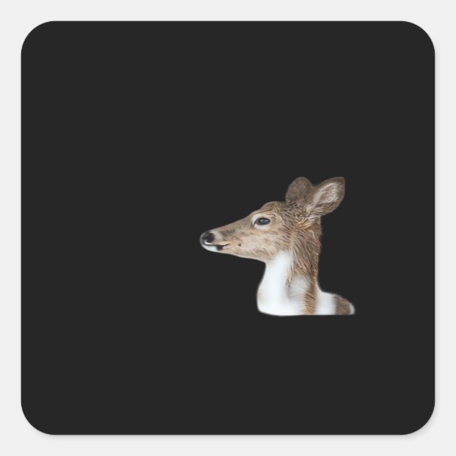 Adesivo Quadrado Oh Deer Minimal Modern Design (Frente)