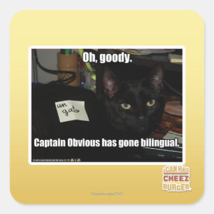 Adesivo Quadrado Oh, goody.