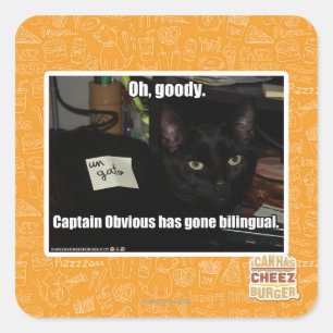 Adesivo Quadrado Oh, goody.