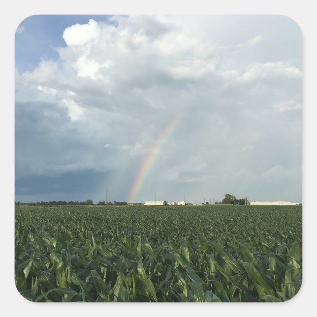 Adesivo Quadrado Ohio Rainbow Over Cornfield (Frente)