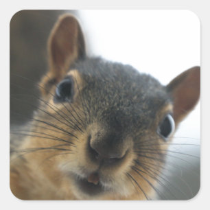 Adesivo Quadrado Olá.