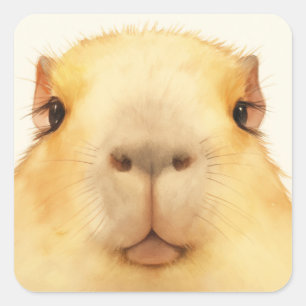 Adesivo Quadrado Olá Capivara
