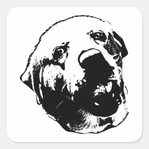 Adesivo Quadrado Olá, é a minha cara