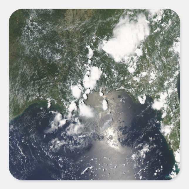 Adesivo Quadrado Óleo se espalha no nordeste (Frente)