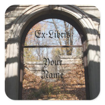 Olhando através da placa de ruína