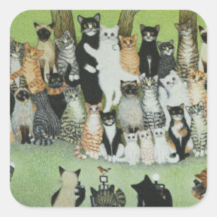 Adesivo Quadrado Olhe o passarinho