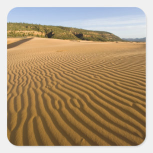 Adesivo Quadrado Ondulações e dunas de areia em Coral Pink Sand 2