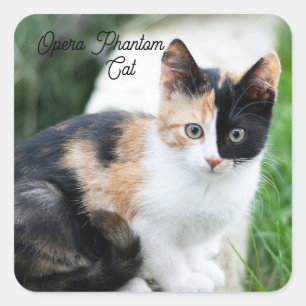 Adesivo Quadrado Ópera - Fantasma