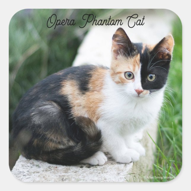 Adesivo Quadrado Opera Phantom Cat (Frente)