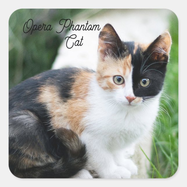 Adesivo Quadrado Opera Phantom Cat (Frente)