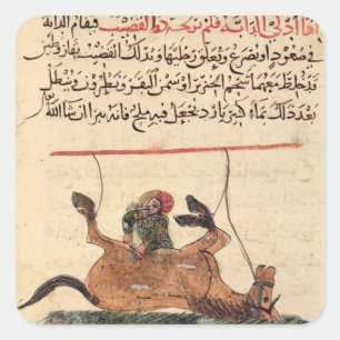 Adesivo Quadrado Operação em um cavalo, ilustração