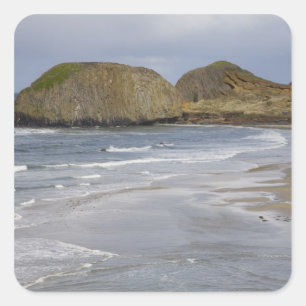 Adesivo Quadrado OR, Costa do Oregon, Parque Estadual de Seal Rock,