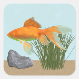 Adesivo Quadrado Orange Goldfish Nature Aquarium Sticker Sheet
