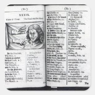 Adesivo Quadrado "Orbis Sensualium Pictus"