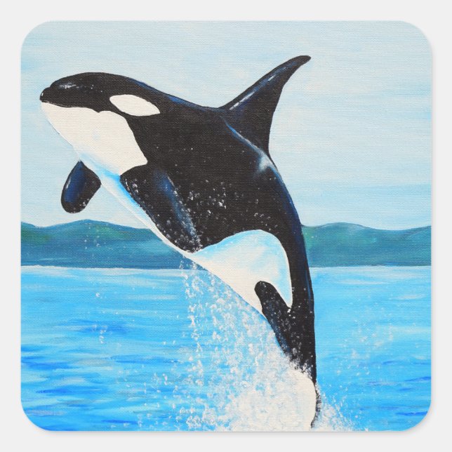 Adesivo Quadrado Orca Painting (Frente)