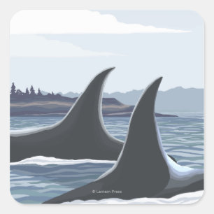 Adesivo Quadrado Orca Whales #1 - Ketchikan, Alaska