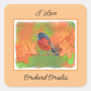 Adesivo Quadrado Orchard Oriole Songbird Pintura Original