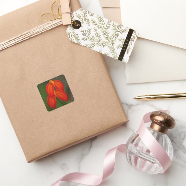 Adesivo Quadrado Orquídea do ignea do Masdevallia (Presentear)