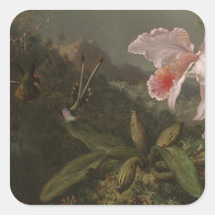 Adesivo Quadrado Orquídeas e colibris da selva