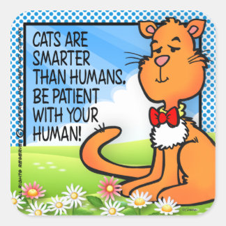 Adesivo Quadrado Os Gatos São Mais Inteligentes