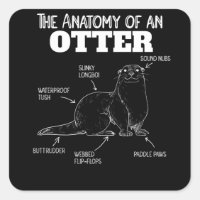 Ótima Explicação Da Outra Anatomia De Uma Outra
