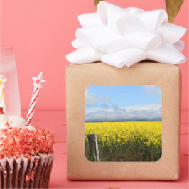 Adesivo Quadrado Ouro Harvest Square Sticker