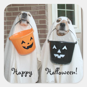 Adesivo Quadrado Ouro Retriever Halloween Ghosts