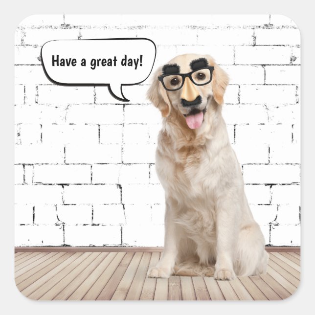 Adesivo Quadrado Ouro Retriever Humor Square Sticker (Frente)