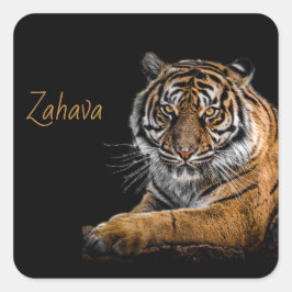 Adesivo Quadrado Ouro Tiger Sticker