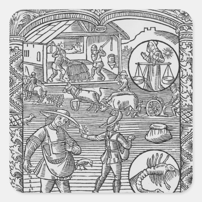 Adesivo Quadrado Outubro, sementeira, lavagem e debulha, (Frente)