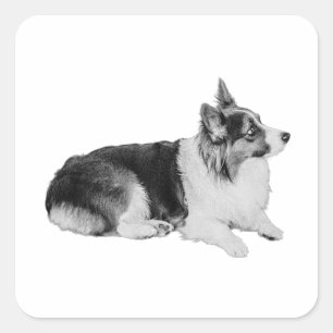 Adesivo Quadrado Ouvindo Ouvidos