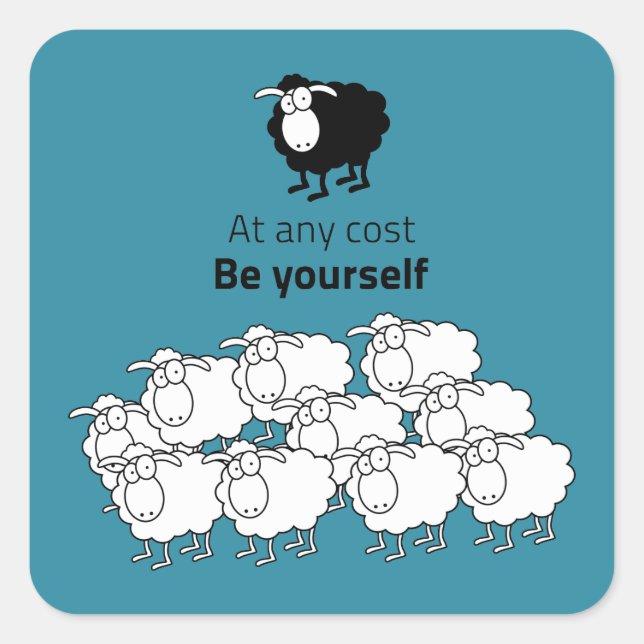 Adesivo Quadrado Ovinos, negros e brancos (Frente)