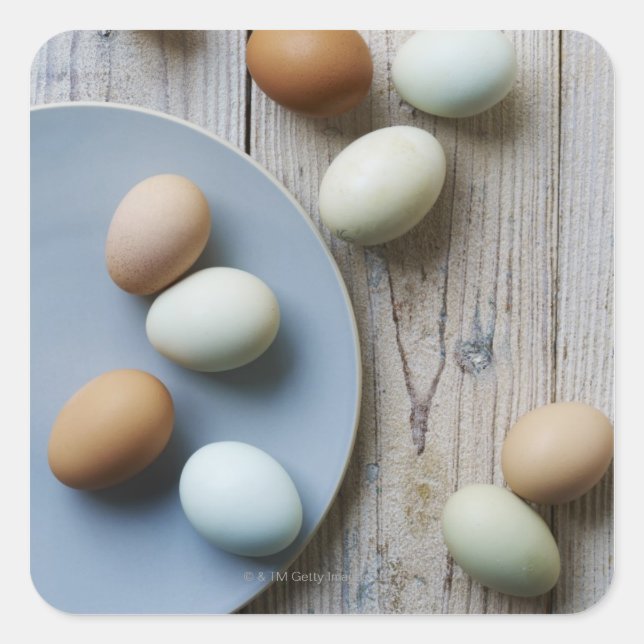 Adesivo Quadrado Ovos inteiros (Frente)