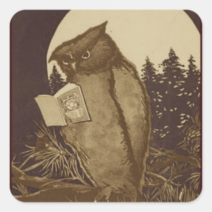 Adesivo Quadrado Owl Reading por Moonlight
