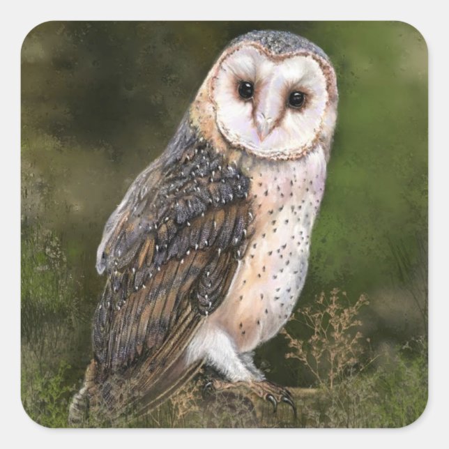 Adesivo Quadrado Owl Sticker Gift (Frente)