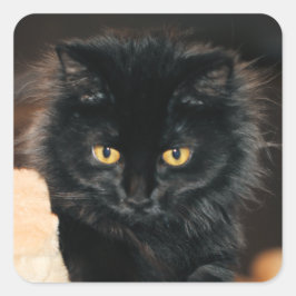 Adesivo Quadrado Owlette