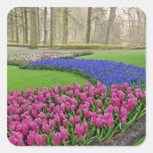Adesivo Quadrado Padrão de Jacinto-de-uva, tulipas e 2
