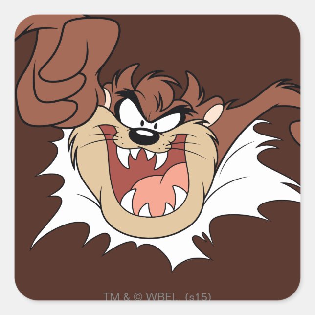 Adesivo Quadrado Página de Interrupção de TAZ™ (Frente)