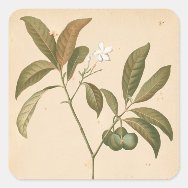 Adesivo Quadrado Painel I do Deco do Cobalto (Frente)