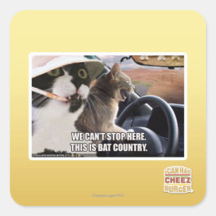 Adesivo Quadrado País do Bat