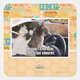 Adesivo Quadrado País do Bat