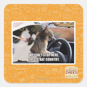 Adesivo Quadrado País do Bat