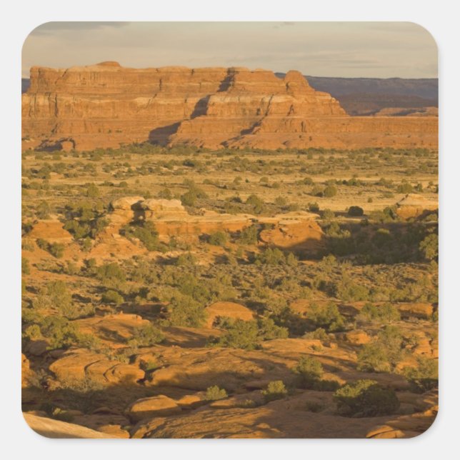 Adesivo Quadrado Paisagem cenômica do deserto no inverno a caminho  (Frente)