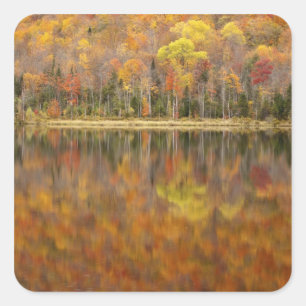 Adesivo Quadrado Paisagem de outono com lago, Vermont, EUA