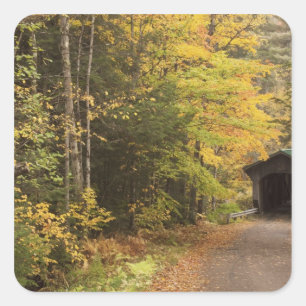 Adesivo Quadrado Paisagem de outono, Vermont, EUA 4
