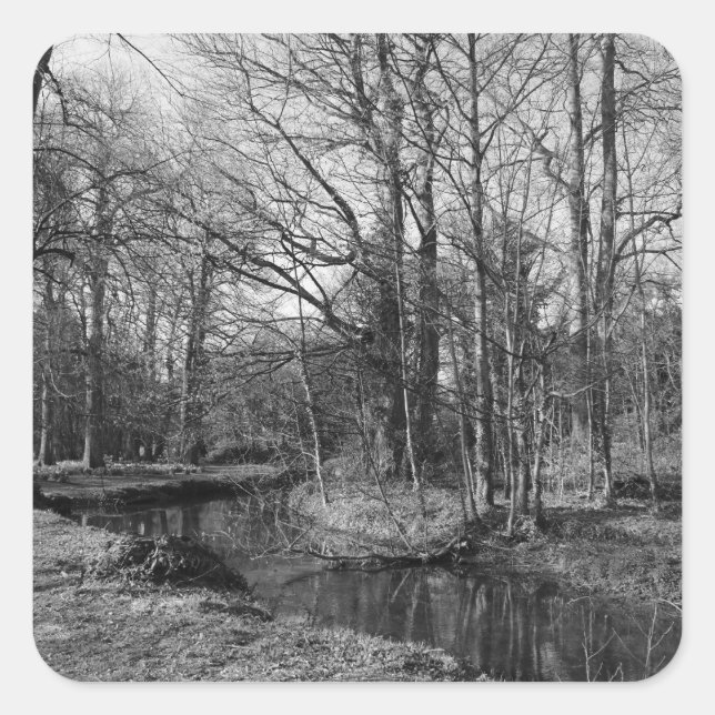 Adesivo Quadrado Paisagem de Parque - Parque de Bute, Cardiff (Frente)